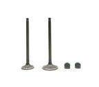 Joints de queue de soupape – Honda XL125S / XL185S / XR200R – Réf. 14101-437-000
